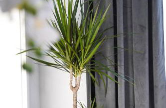 Modernes Design-Apartment - nahe Reutlingen - Parking - Self-Check-in - Foto 5