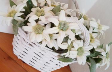 Casa Paola - Foto 19