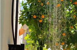 Casa el Montcel, a unique chalet with roofterrace and shared pool - Foto 33