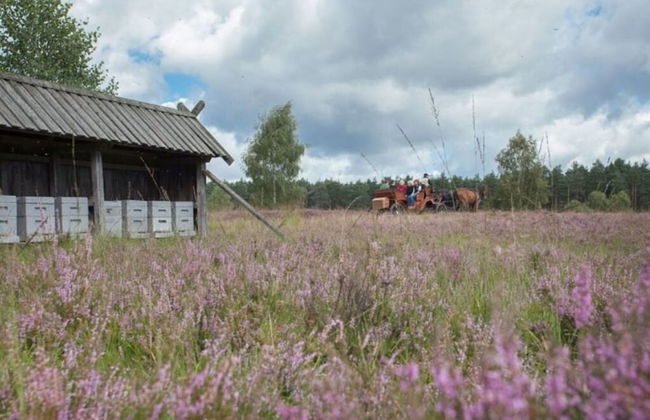 Heidetraum in der Pension Heidetraum - Photo 18