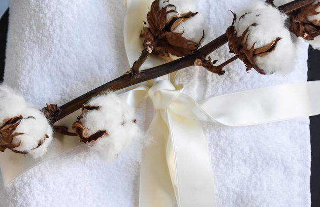 Garibaldi23 - Foto 40