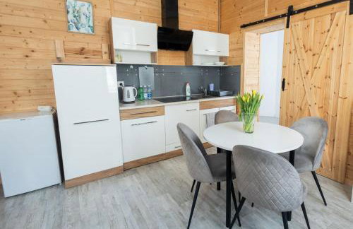 Apartamenty pod Kicarzem - Foto 42