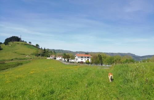 Agroturismo Pagoederraga - Foto 31