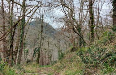 Le paradis des châtaigniers - Photo 20