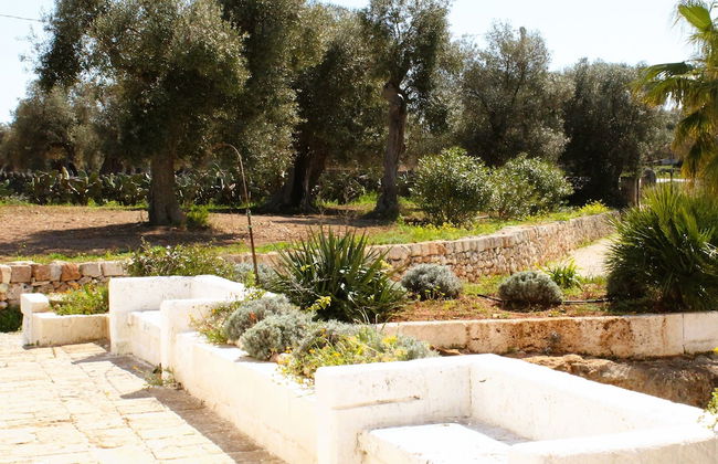 Masseria Piccole Taverne - Foto 36