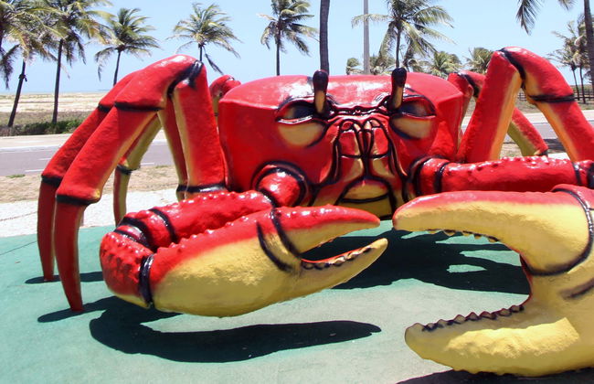 Visite privée d'Aracaju - Photo 1