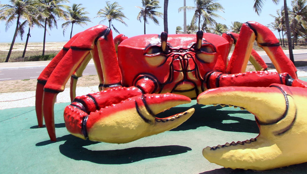 Tour privado por Aracaju