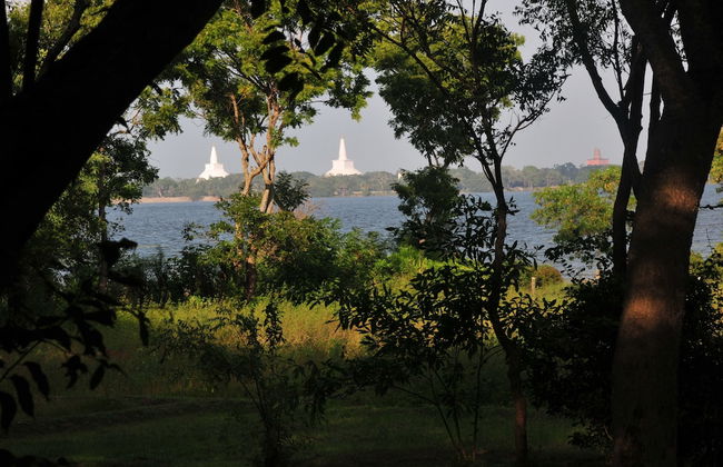 Water's Edge Anuradhapura - Foto 20