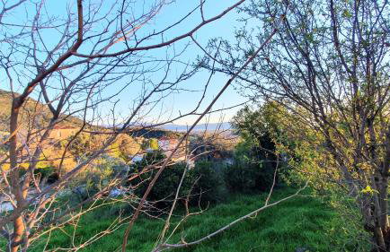 Best House, Green Home, Elaiofyto Village, Agrinio, Aitoloakarnania - Foto 35