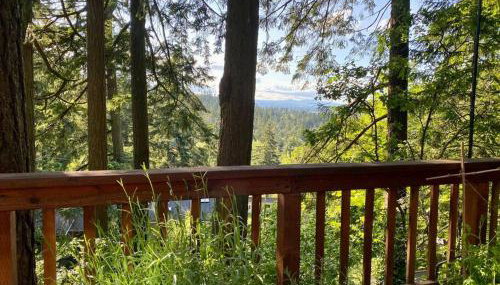 Forest Gallery- Mid-Century Modern With City Views - Foto 2