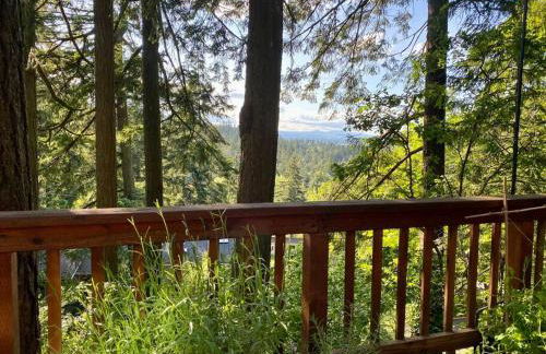 Forest Gallery- Mid-Century Modern With City Views - Photo 2