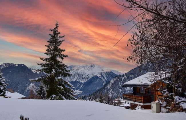 Baudrier A04 - Foto 24