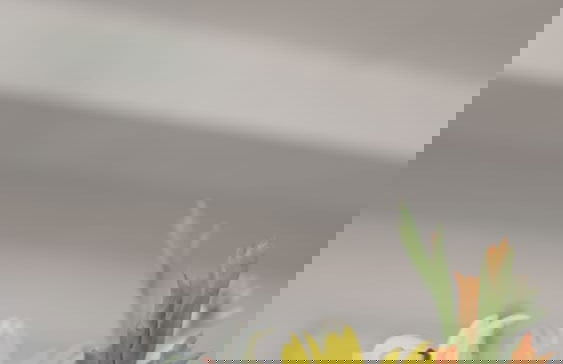 Holiday rental in Havana with swimming pool and terrace - Foto 39