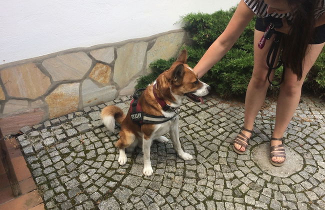 Ferienhaus Hagenwinkel - Foto 10