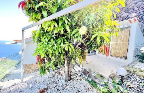 Mar a Vista by Your Madeira Rentals - Photo 30