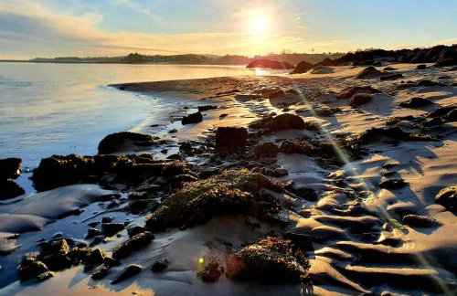 Buxton Mews - Photo 22