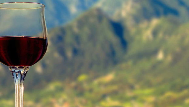 Visita di una cantina del Lago di Garda + Degustazione di vino e olio