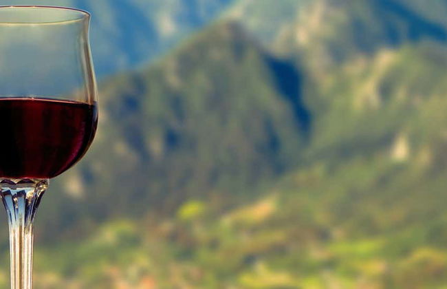 Visita di una cantina del Lago di Garda + Degustazione di vino e olio - Foto 4