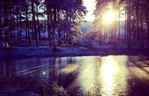 Hedgehog's Hideaway,a peaceful retreat in Nenthead - Foto 18