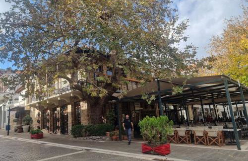 Βίλα Ελιά Παραδοσιάκο σπίτι στην Αμφίκλεια - Foto 33