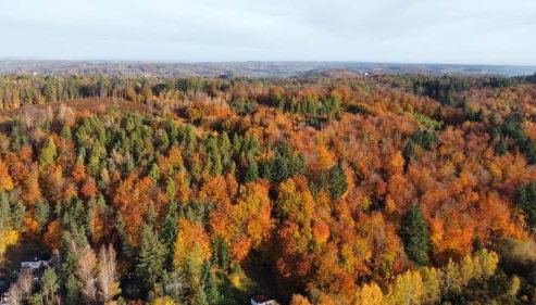 Apartament Pod Skarpą z balią Wieżyca - Foto 3