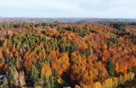 Apartament Pod Skarpą z balią Wieżyca - Foto 3