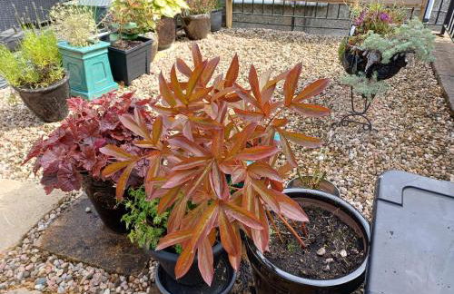 The Hideaway - Foto 11