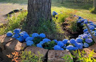 La Casa Dei Fiori - Foto 35