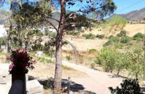 Casa Vacanza il Mandorlo - Foto 39