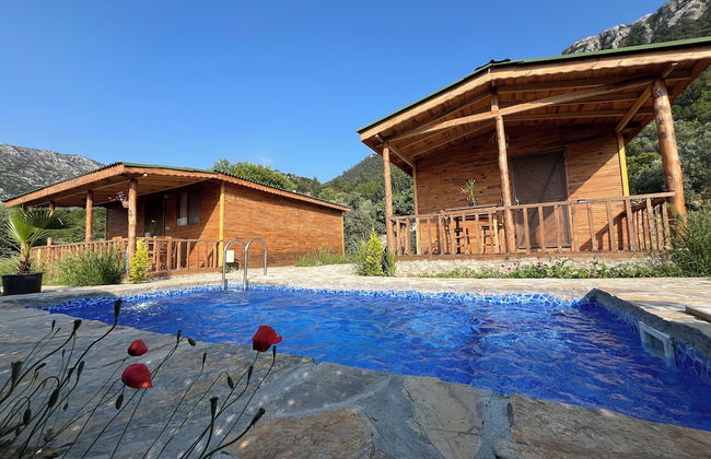 Afera Koy Evi - Foto 10