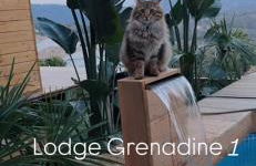 La Maison Du Soleil - Foto 14