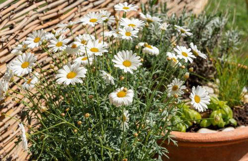 Villa Waldrand with Merano view - Foto 23