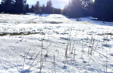 APPARTEMENT CHALETS DU SUPER D - Photo 35