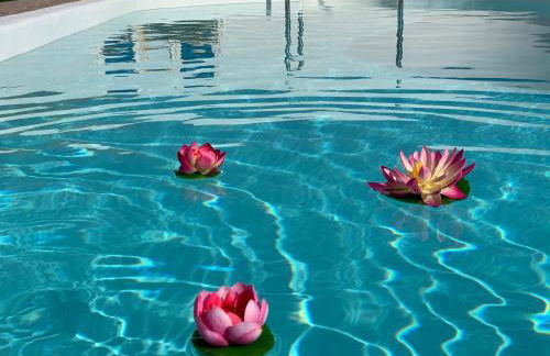 Pico Partido villa heated pool - Foto 7