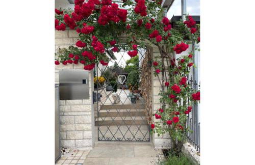 Ferienwohnung Zur Imme - Foto 24