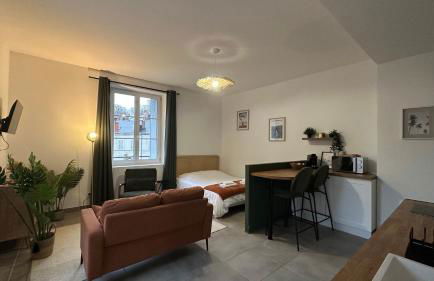 Le Petit Oasis - 50m de la gare de Nevers - Foto 3