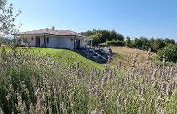 Green Forest - Photo 1