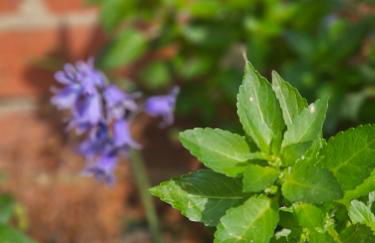 A Home Away From Home - Photo 30