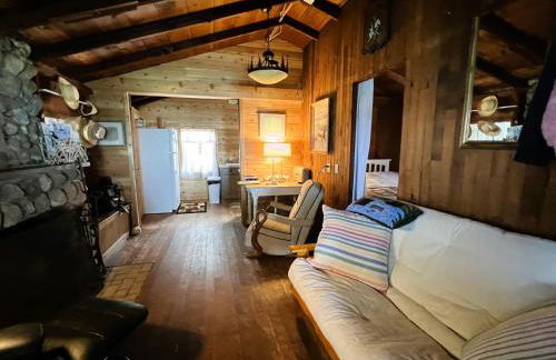 The Wee Cabbage - Foto 12