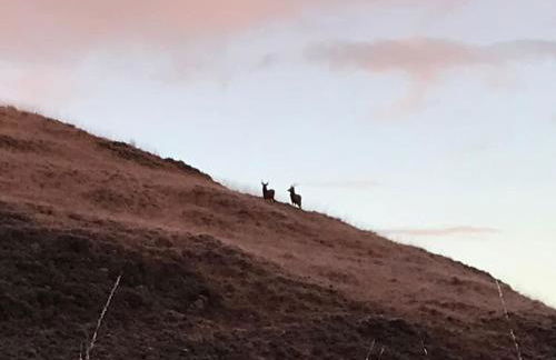 Belmont Chapel Cottage - Photo 70