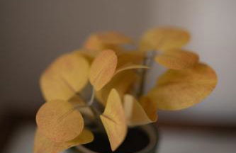 GioiApartment - B&B Scalo Romana Villaggio Olimpico - Foto 23