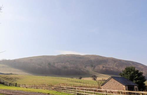 Pansy Plot - Photo 50