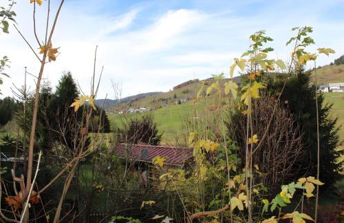 Ferienwohnung Herzogenhorn - Foto 27