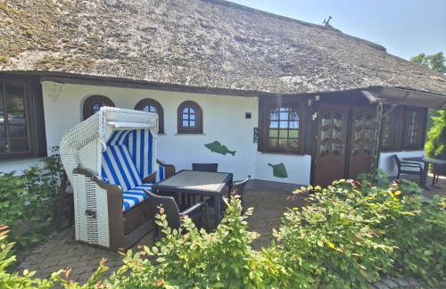 Fischstübchen Neeberg Apt 1 – Wald und Wiese - Foto 14