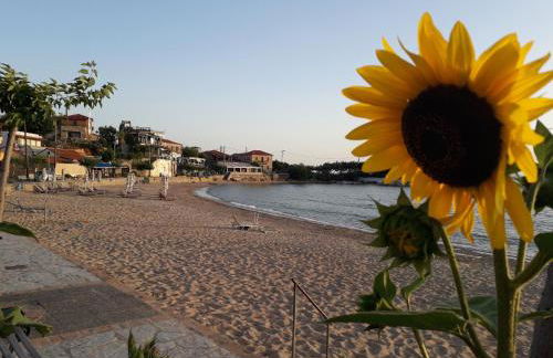 Antonias house - Foto 12