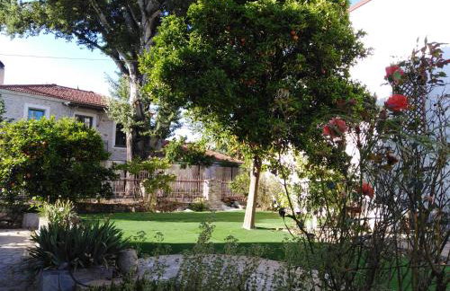 Epavli Sofia' s two Apartments in Horto, 30m from the sea - Foto 11