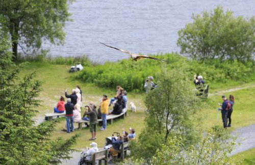 5 Bed in Ystrad Meurig oc-r31133 - Foto 35