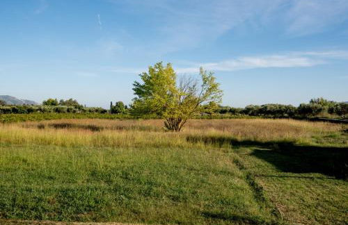 Jenny's House - Foto 34