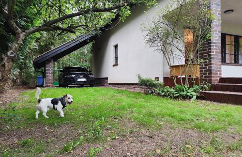 Kamińsko 544 - Foto 6