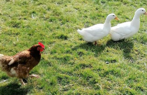 The Studio with Terrace and EV point - Photo 35